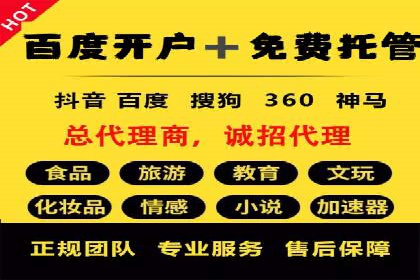 谷歌竞价案例：成功案例分析及启示